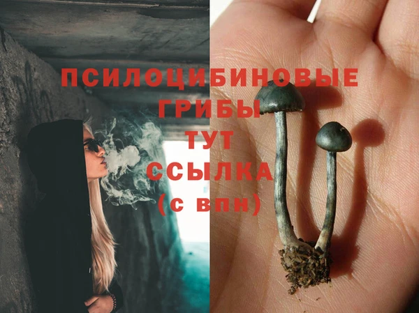 прущий лед Струнино