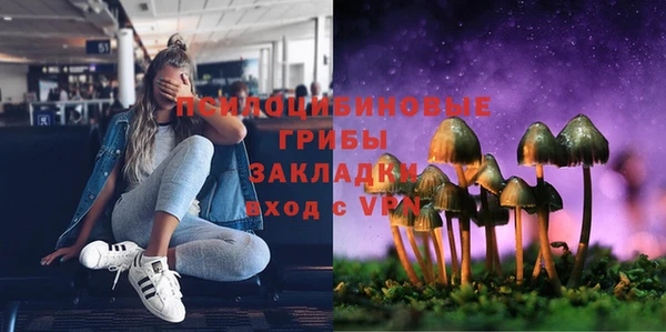 прущий лед Струнино