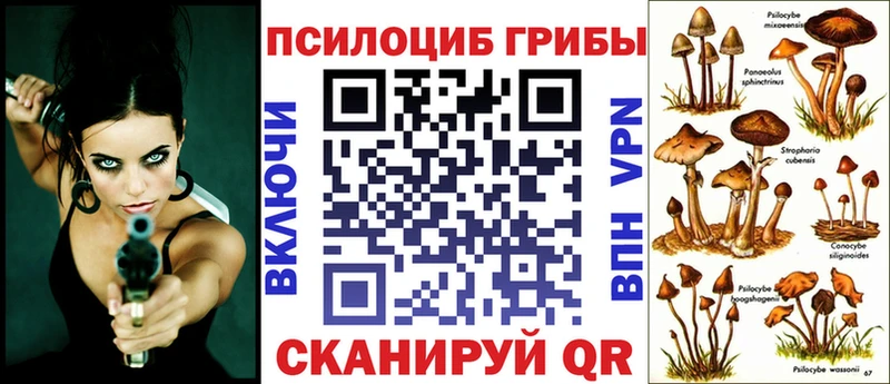 Псилоцибиновые грибы Psilocybe  Купить где  Бугульма 